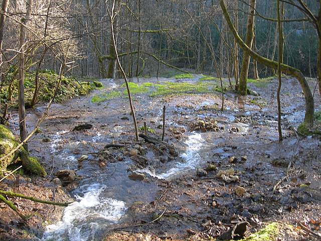 Ritorno  nel  bosco  alluvionale  di  Flh